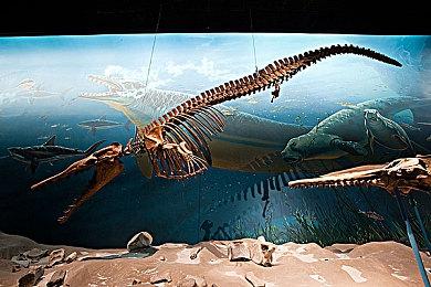 《无主之地4》总监称：构建自由度对标《博德之门3》